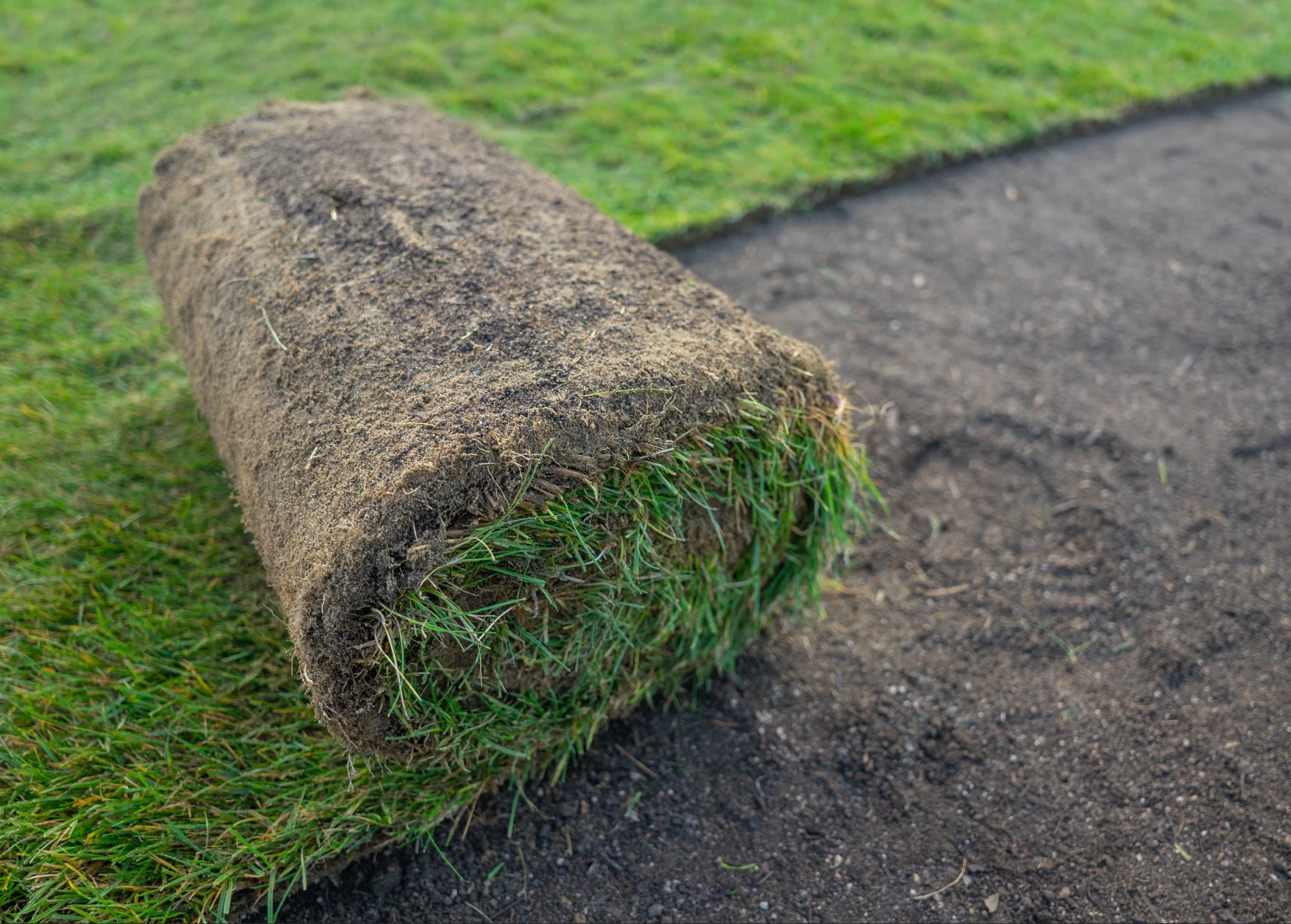 Natural grass installation